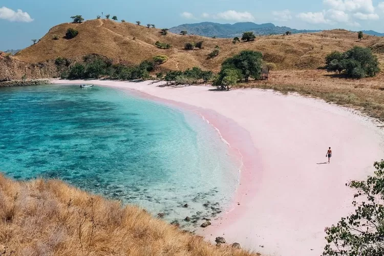 Pantai Pink